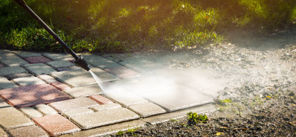 Best Dumpster Area Cleaning  in Truman, MN